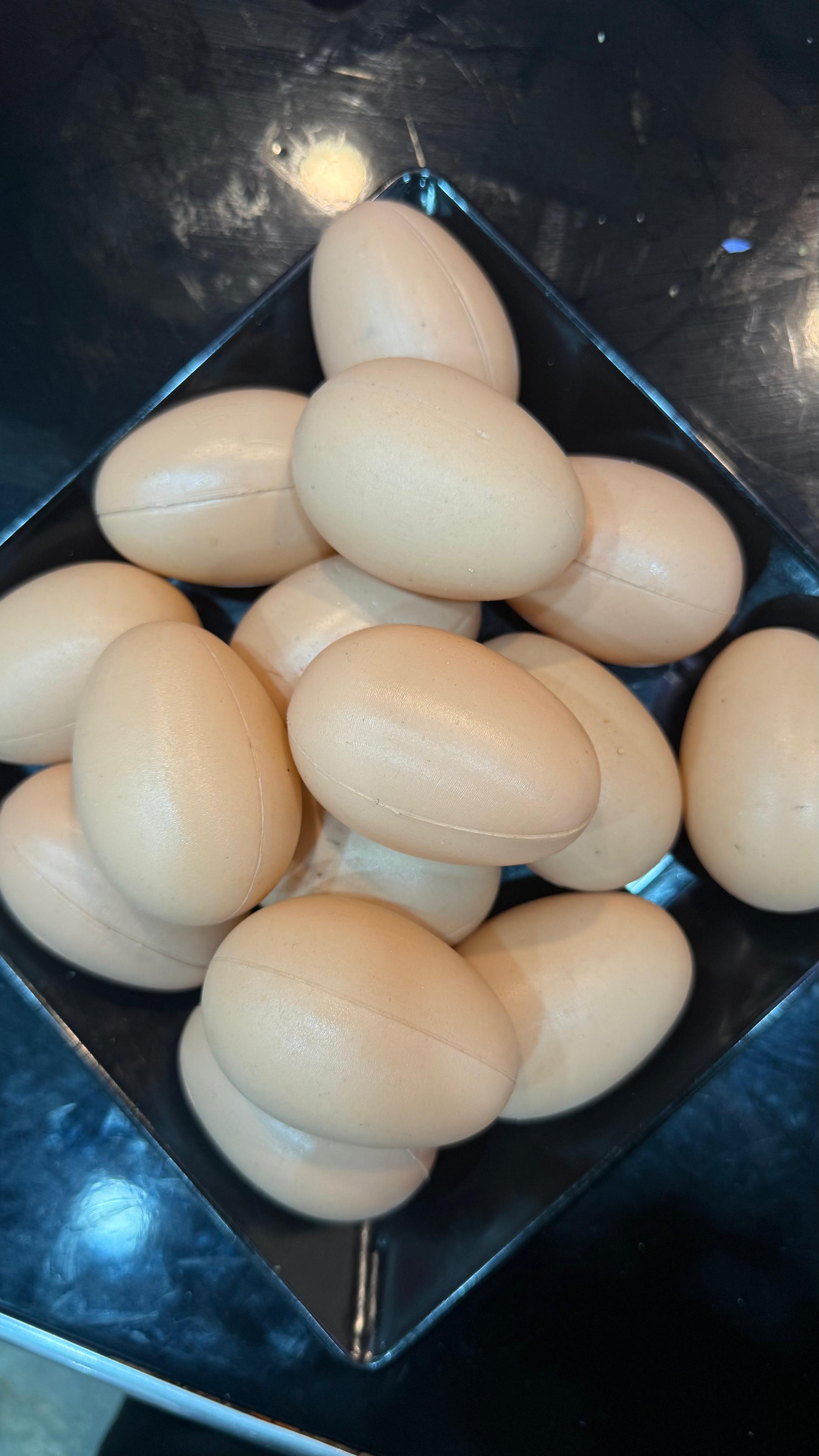 Telur Ayam